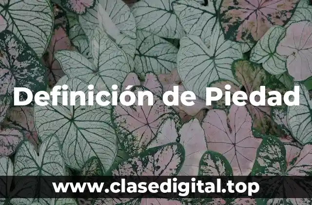 Definición técnica de Piedad