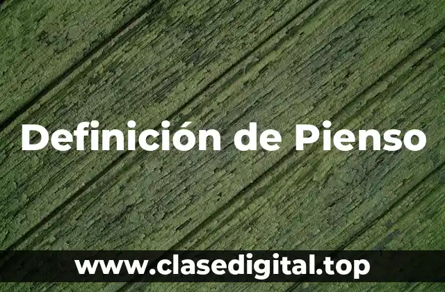Definición de Pienso
