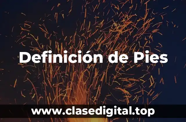 Definición técnica de Pie