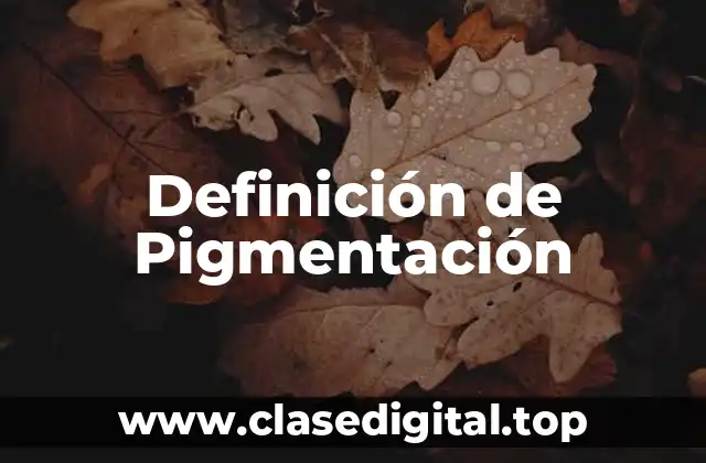 Definición de Pigmentación