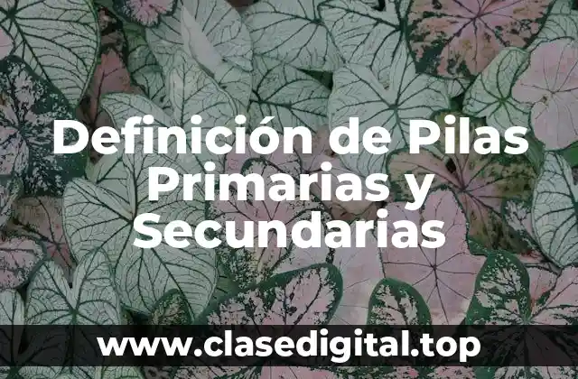 Definición de Pilas Primarias y Secundarias
