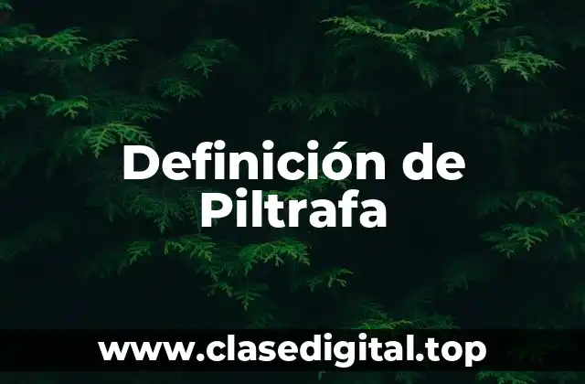 Definición de Piltrafa