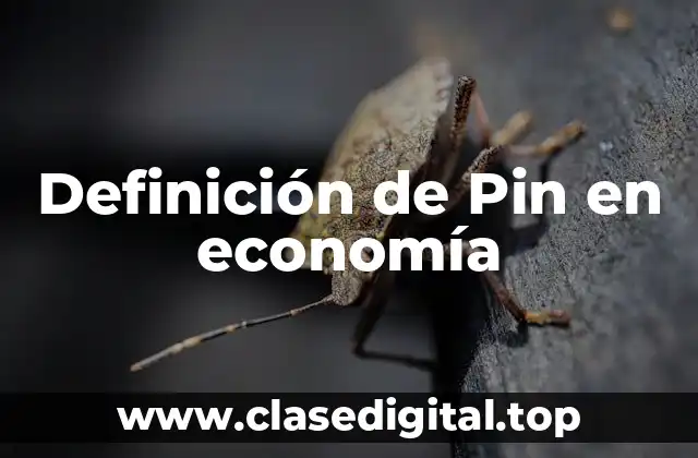Definición de Pin en economía