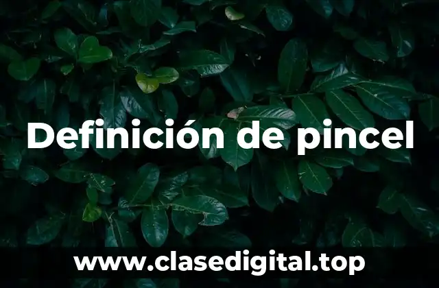 Definición de pincel