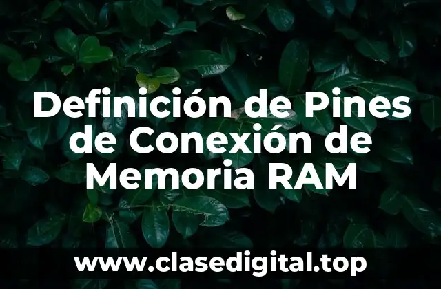 Definición de Pines de Conexión de Memoria RAM