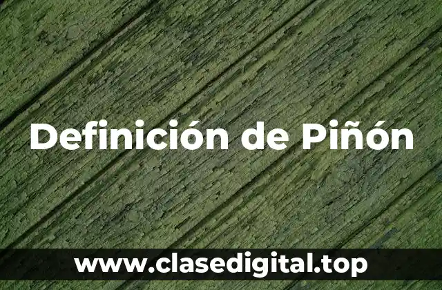 Definición de Piñón