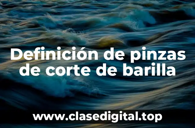 Definición de pinzas de corte de barilla