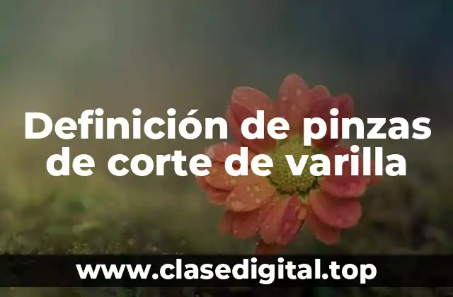 Definición de pinzas de corte de varilla