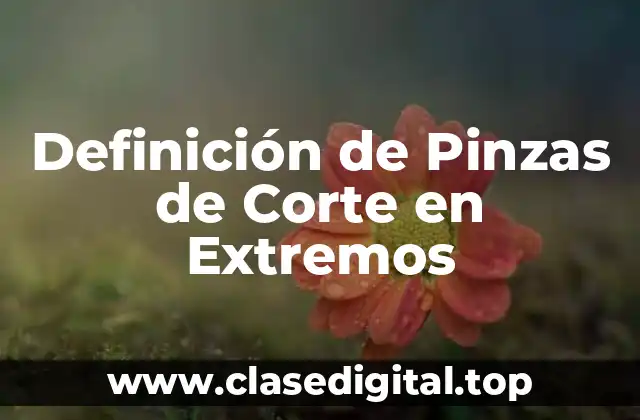 Definición de Pinzas de Corte en Extremos