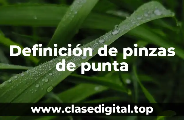 Definición de pinzas de punta