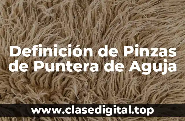 Definición de Pinzas de Puntera de Aguja