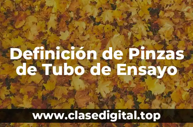 Definición técnica de Pinza de Tubo de Ensayo