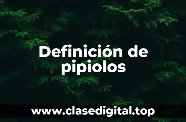 Definición de pipiolos