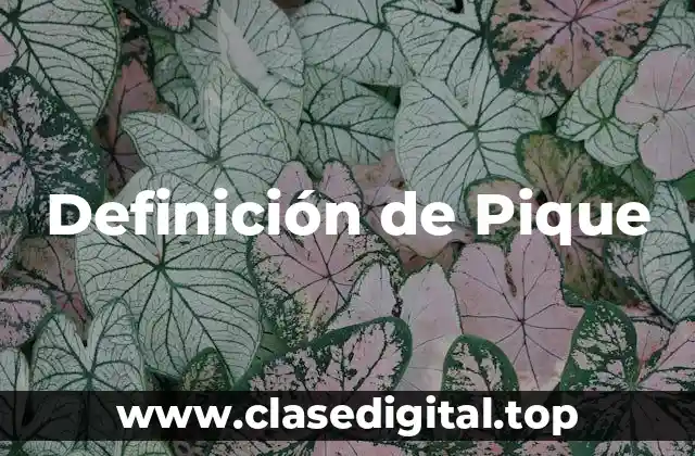 Definición de Pique