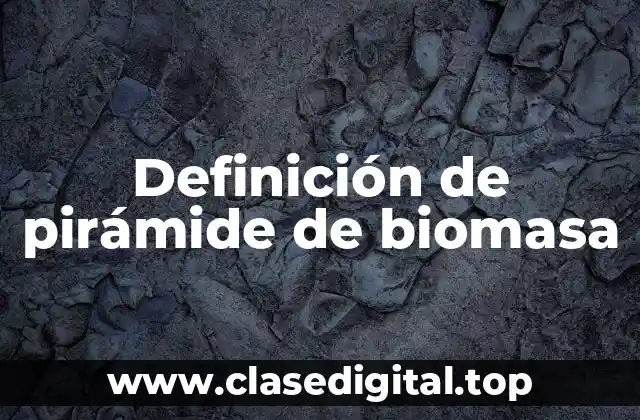 Definición de pirámide de biomasa