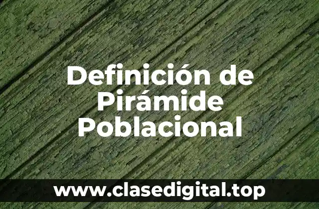 Definición técnica de Pirámide Poblacional