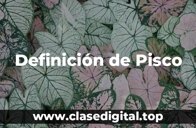 Definición de Pisco