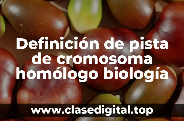 Definición de pista de cromosoma homólogo biología