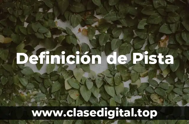 Definición de Pista