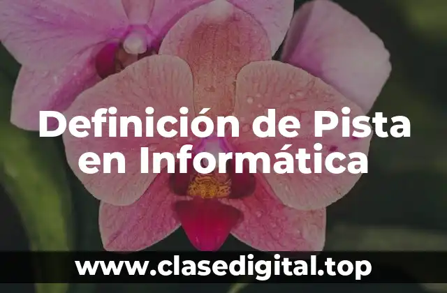 Definición de Pista en Informática