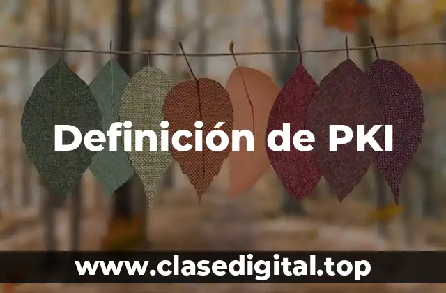 Definición de PKI