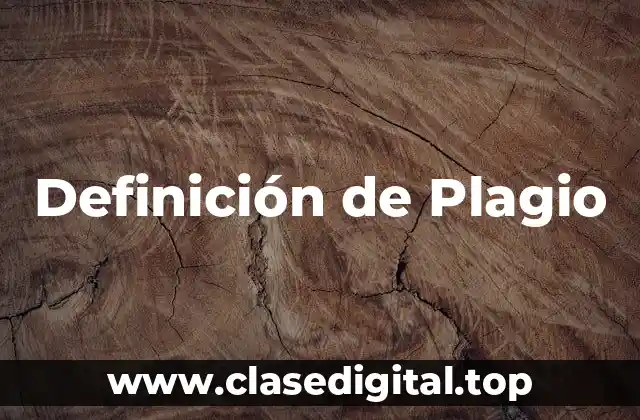 Definición técnica de plagio