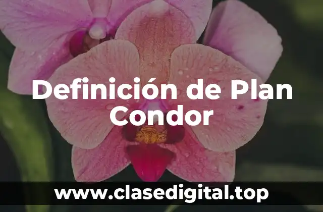 Definición de Plan Condor
