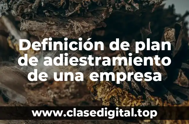 Definición de plan de adiestramiento de una empresa