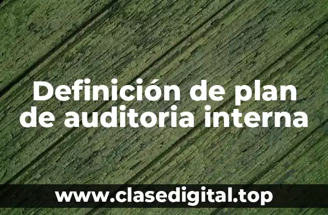 Ejemplos de plan de auditoria interna