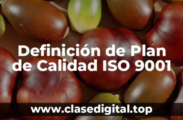 Definición de Plan de Calidad ISO 9001