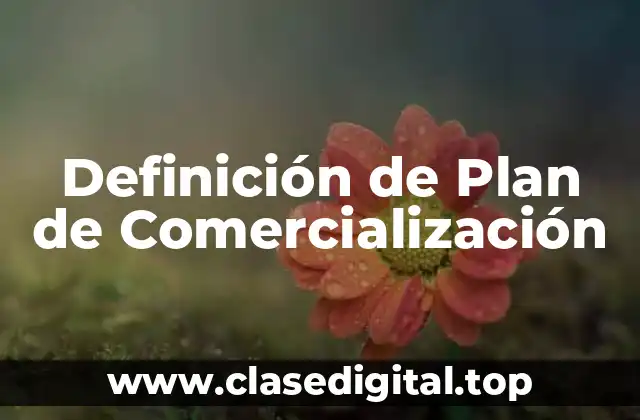 Definición de Plan de Comercialización