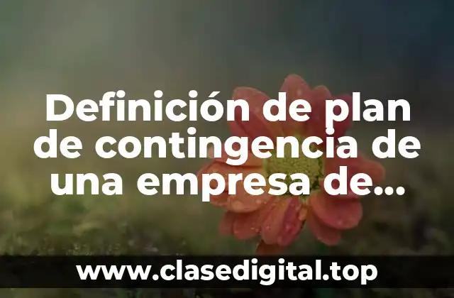Definición de plan de contingencia de una empresa de servicios