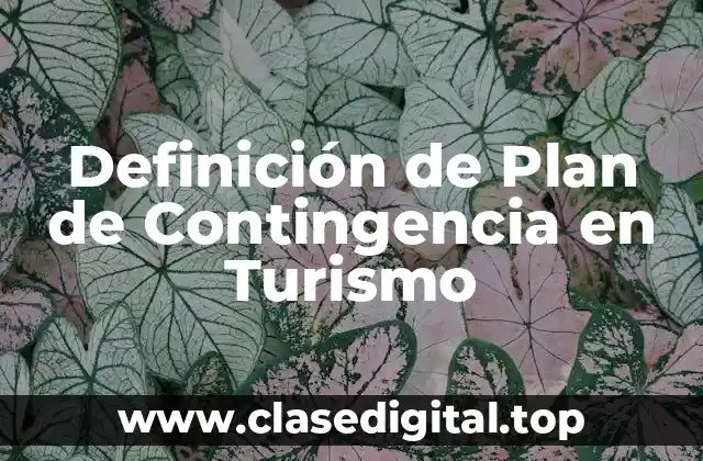 Definición de Plan de Contingencia en Turismo
