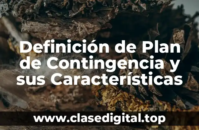 Definición de Plan de Contingencia y sus Características