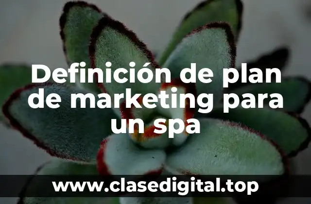 Definición de plan de marketing para un spa