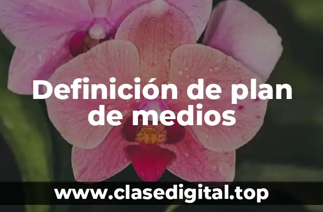 Definición de plan de medios