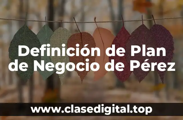 Definición de Plan de Negocio de Pérez