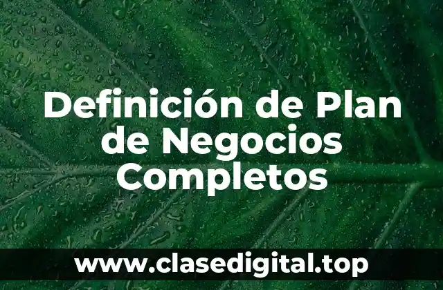Definición de Plan de Negocios Completos
