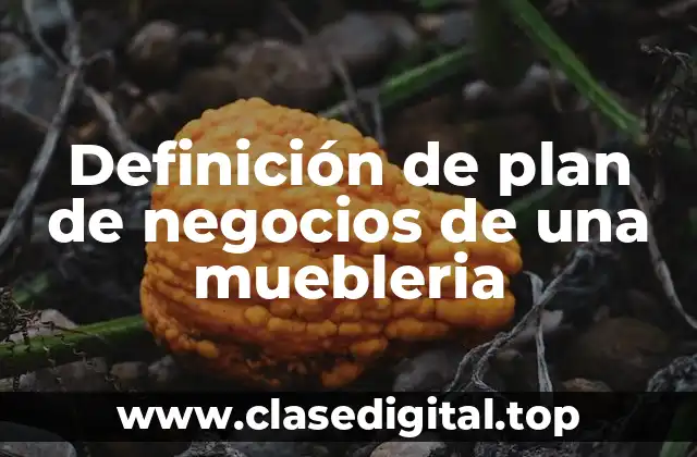 Definición de plan de negocios de una muebleria