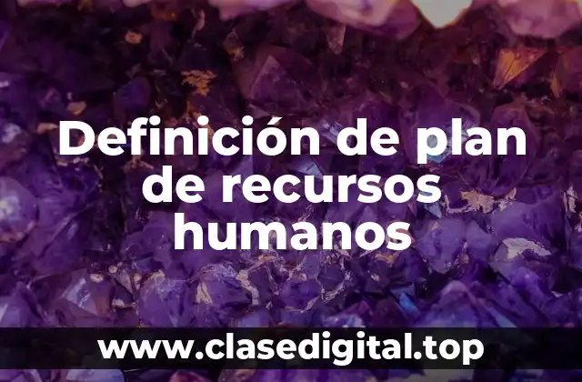 Definición de plan de recursos humanos