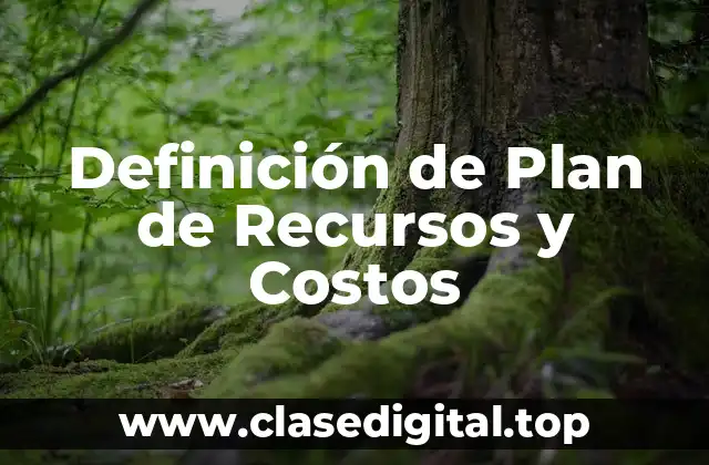 Definición de Plan de Recursos y Costos