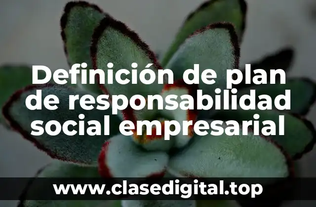 Ejemplos de plan de responsabilidad social empresarial