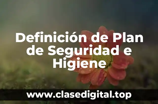 Definición técnica de Plan de Seguridad e Higiene