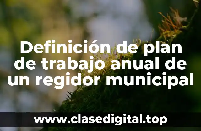 Definición de plan de trabajo anual de un regidor municipal