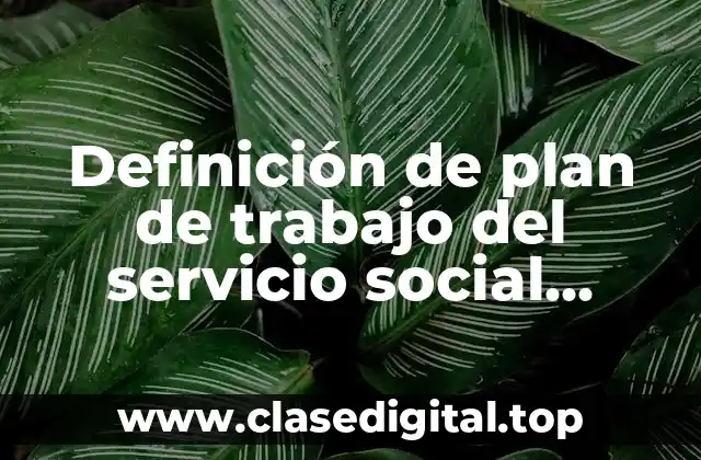 Definición de plan de trabajo del servicio social objetivos específicos