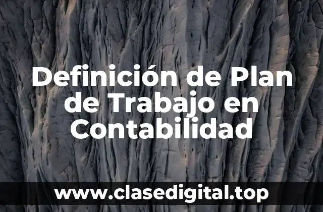 Definición de Plan de Trabajo en Contabilidad