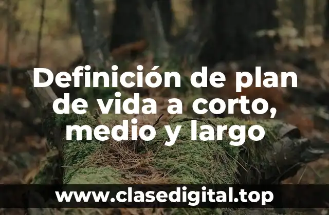 Ejemplos de plan de vida a corto, medio y largo