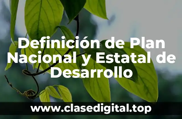 Definición de Plan Nacional y Estatal de Desarrollo