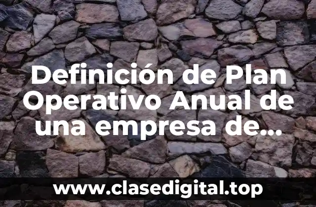 Definición de Plan Operativo Anual de una empresa de servicios