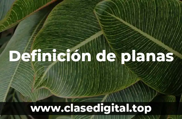 Definición de planas